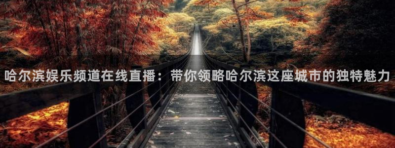 乐天堂fun2体育：哈尔滨娱乐频道在线直播：带你领略哈尔滨这座城市的独特魅力