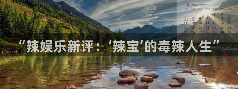 乐天堂fun招商：“辣娱乐新评：‘辣宝’的毒辣人生”