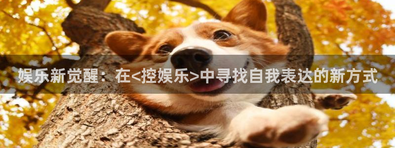 福建乐天堂fun机电股份公司：娱乐新觉醒：在<控娱乐>中寻找自我表达的新方式