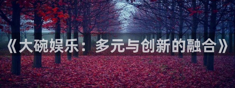 乐天堂fun体育1招商：《大碗娱乐：多元与创新的融合》
