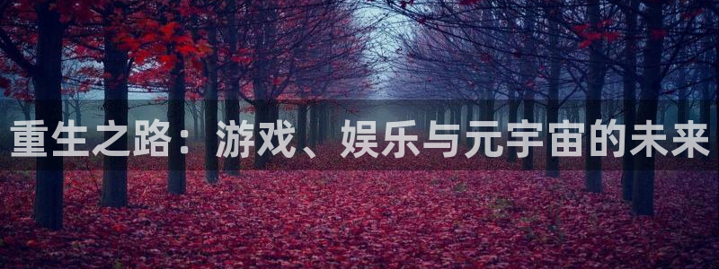 乐天堂fun体育网页版入口：重生之路：游戏、娱乐与元宇宙的未来