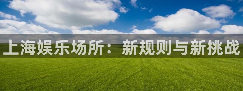 乐天堂fun电子有限公司：上海娱乐场所：新规则与新挑战