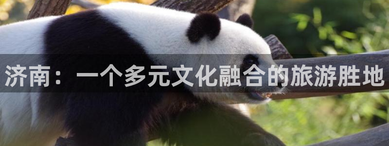 福建乐天堂fun机电股份公司：济南：一个多元文化融合的旅游胜地