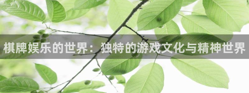 乐天堂fun平台官网：棋牌娱乐的世界：独特的游戏文化与精神世界
