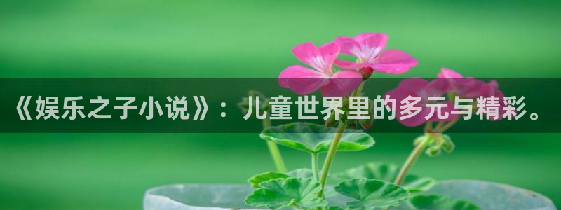 乐天堂fun体育2：《娱乐之子小说》：儿童世界里的多元与精彩。