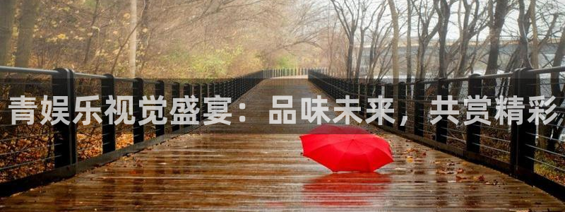 乐天堂fun2登录入口：青娱乐视觉盛宴：品味未来，共赏精彩