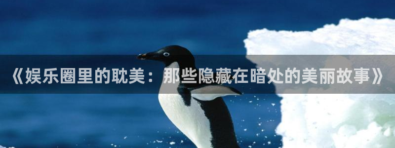 乐天堂fun体育f开户：《娱乐圈里的耽美：那些隐藏在暗处的美丽故事》
