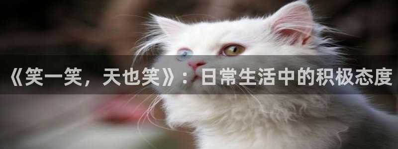 乐天堂fun体育3