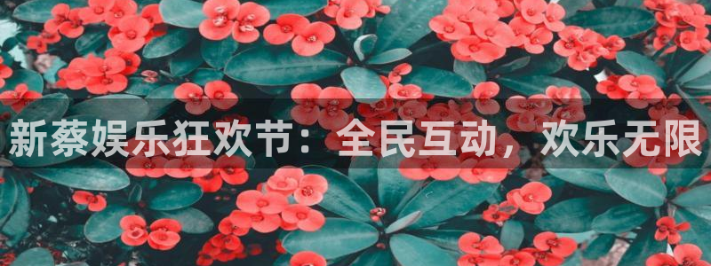 乐天堂fun体育代理