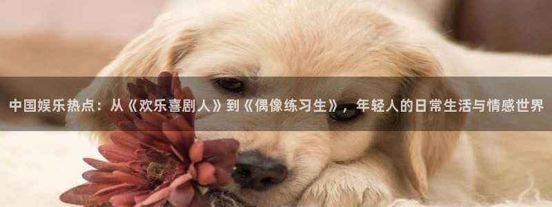 乐天堂fun体育凯捷平台注册：中国娱乐热点：从《欢乐喜剧人》到《偶像练习生》，年